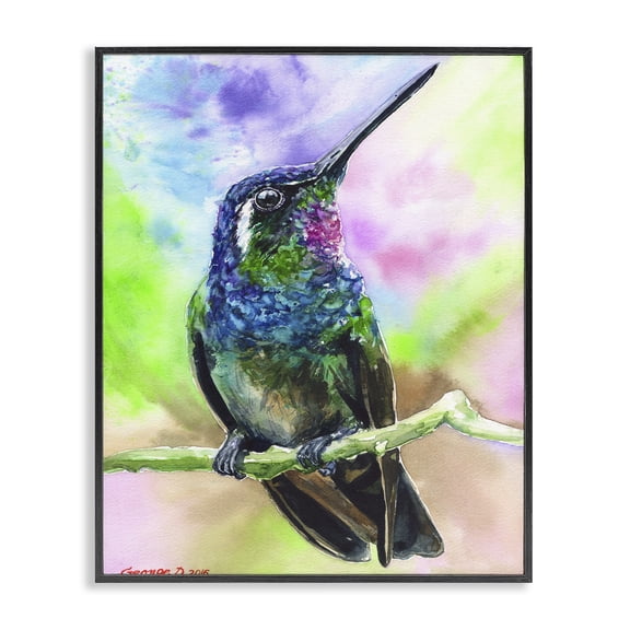 Stupell Industries Eclectic Vibrant Hummingbird Perched Soft Tie-Dye Black Framed Giclee Art, 11 x 14, by George Dyachenko