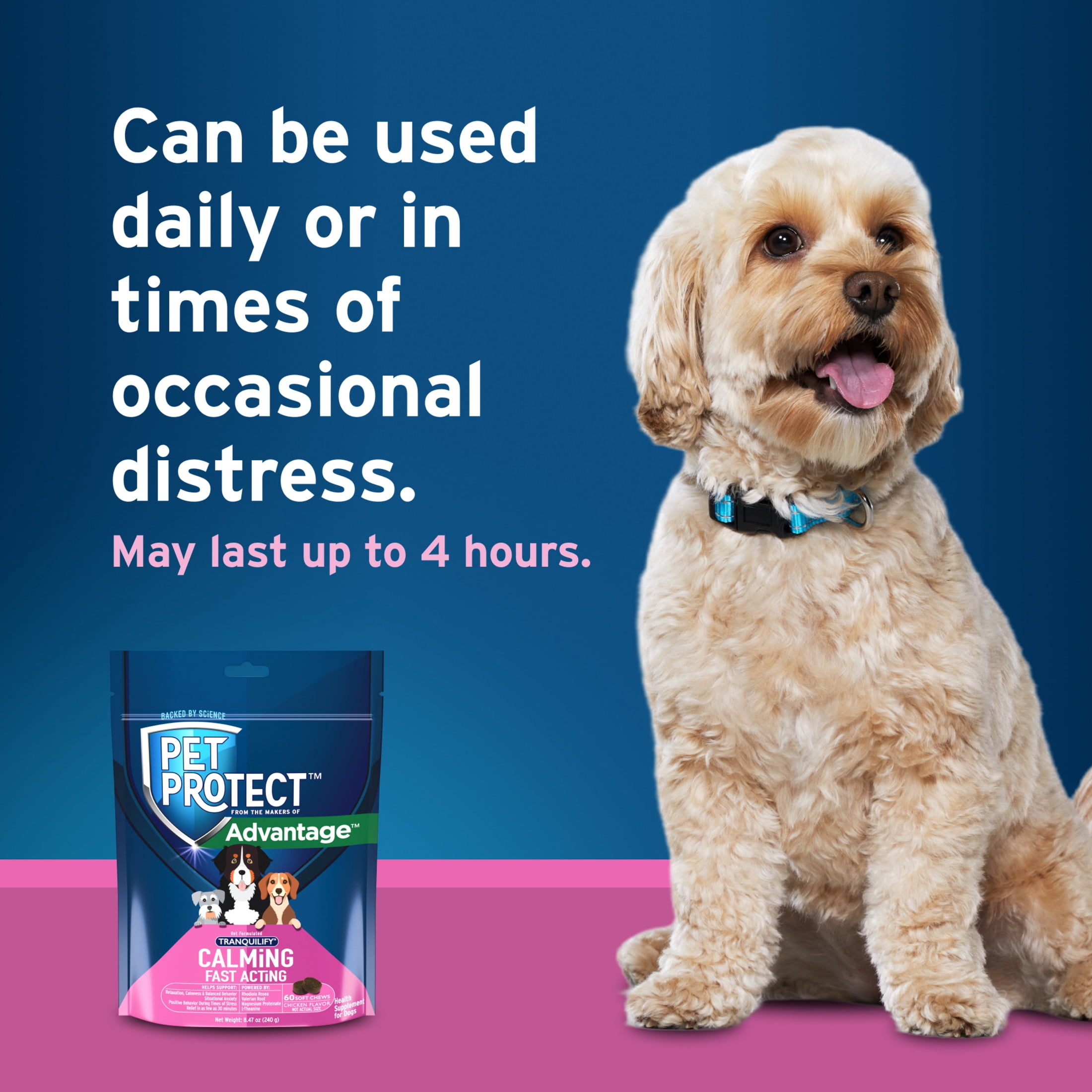 Pet Protect Fast-Acting Calming Chews for Dogs, Vet-Formulated Tranquilify, Chicken, 60 Soft Chews