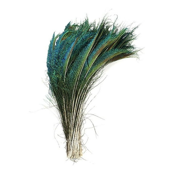 ZUCKERâ„¢ Peacock Sword-Tail Feathers (Right Side) - 12 - 20" - 100pcs - Natural