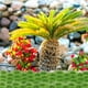 thumbnail image 2 of Césped artificial en racimos, plantas de interior, adorno paisajístico, adorno en miniatura, mechón de césped estático, césped artificial para hacer uno mismo., 2 of 6