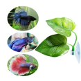 thumbnail image 4 of 2 Pcs Betta Fish Leaf Pad-By Simulating The Natural Habitat decorate, 4 of 4