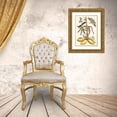 thumbnail image 3 of Maria Sibylla Merian 20x24 Gold Ornate Framed and Double Matted Museum Art Print Titled - Cassava (1705), 3 of 4