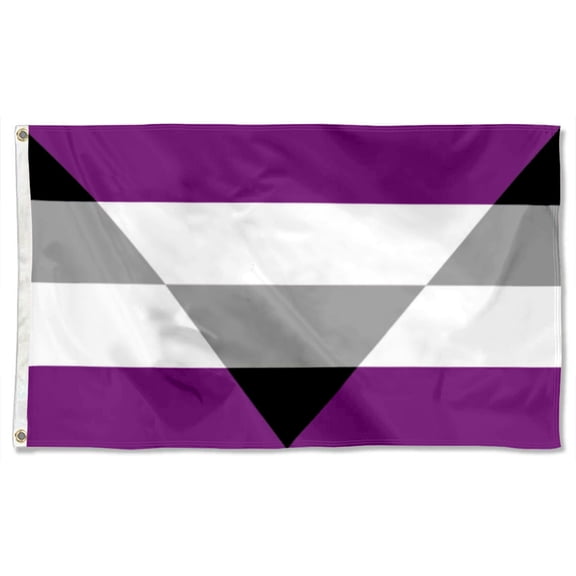 Aegosexual Pride Flags Polyester 3x5 FT banner