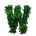 thumbnail image 4 of Modern Home 12" Real Preserved Boxwood Monogram Wreath Letters - P, 4 of 5
