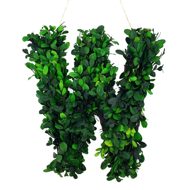 Modern Home 12" Real Preserved Boxwood Monogram Wreath Letters - W