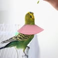 thumbnail image 3 of DEEPCRAFF 4pcs Parrot Collar Pet Bird Collar Korean Velvet Surgery Recovery, 3 of 8