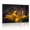 C, variant on XaaKee Canvas Wall Art Amber Butterfly Glow Botanical Wall Art Prints Inner Framed 18*12Inch