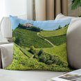 thumbnail image 3 of LALILO Throw Pillow Covers And Wine Sea Spain Vineyard Country Cushion Cover 18" x 18", 2 Pack, 3 of 6