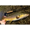 thumbnail image 4 of Competition MKII Series Fly Rod - Euro Style Nymphing, 4 of 6