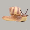thumbnail image 5 of Figuras de caracol en miniatura, modelo de caracol para decoración de micropaisaje de jardín de hadas, 2 uds., 5 of 5