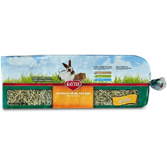 Kaytee All Natural Alfalfa Hay for Rabbits, Guinea Pigs and Small Animals - 100032084