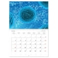 thumbnail image 5 of Microbiology. Microorganisms and cells (Monthly Wall Calendar 2026 16.5 x 23.4 (open)), CALVENDO 14 Month Calendar, 5 of 9