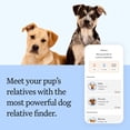 thumbnail image 5 of Wisdom Panel Breed Discovery Dog DNA Testing Kit, Most Accurate Dog Breed Identification, Test for 430+ Breeds, MDR1 Health Test, Ancestry, Relatives, 5 of 9