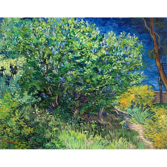 Lilac Bush by Vincent van Gogh - 12" x 18" Art Print Wall Decor
