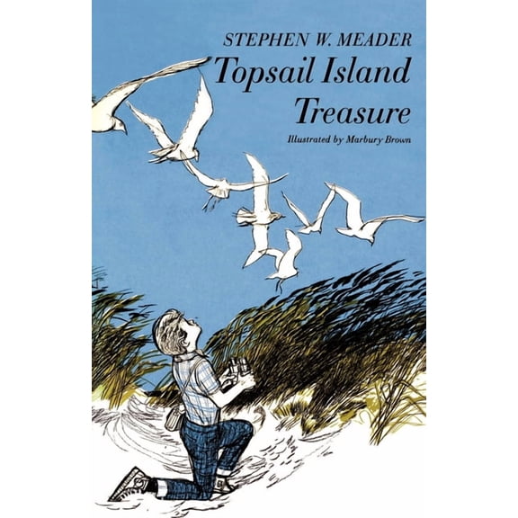 Topsail Island Treasure, (Paperback)