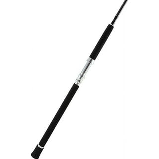 Saltwater Fishing Rods in Fishing Rods