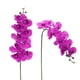 thumbnail image 2 of 3 piezas de tallos de orquídea artificial a granel, orquídeas de gran flor real de 37 pulgadas de alto, 9 flores falsas de Phalaenopsis para decoración de hogar y boda (3 piezas, púrpura), 2 of 7