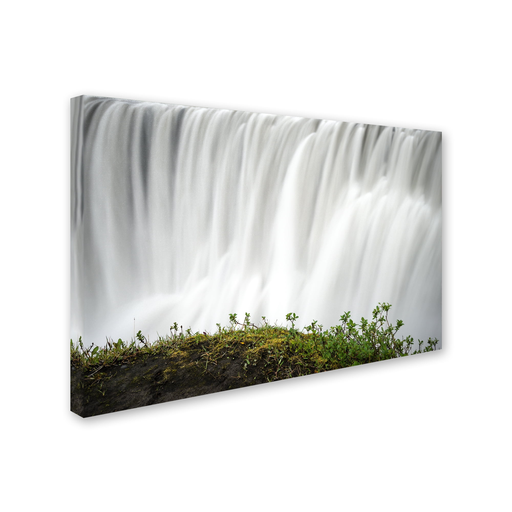 Trademark Fine Art 'Float' Canvas Art by Philippe Sainte-Laudy