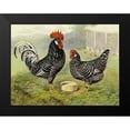 thumbnail image 2 of Wright, Lewis 18x15 Black Modern Framed Museum Art Print Titled - Chickens: Anconas, 2 of 5