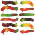 thumbnail image 4 of KAKOWELY 12 piezas de orugas de simulación, gusanos realistas, insectos rastreros, juguete de broma de Halloween (estilo aleatorio), 4 of 5