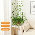 thumbnail image 3 of BToBackyard Vine Wall Fixing Device 10pcs Set Gardening Tools Supplies 3 Colors 10PCS ABS Material Snails Sticky Hook Plant Support, 3 of 21