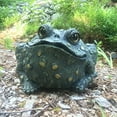 thumbnail image 5 of Toad Hollow HomeStyles Jumbo Toad Natural Green, 5 of 5