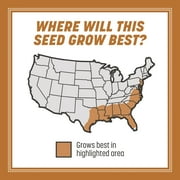 Pennington Centipede Grass Seed with Mulch; 5 lbs., Grass Seeds for Lawn, for Full Sun