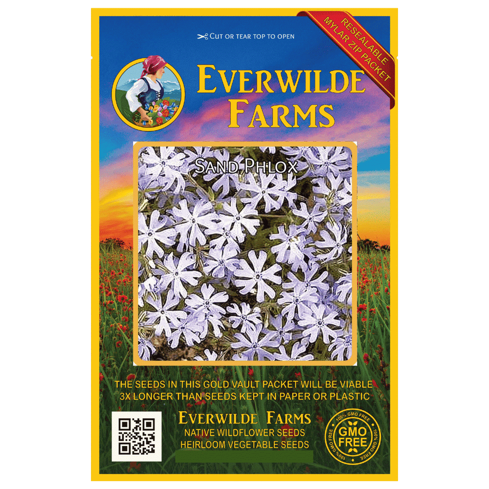 Everwilde Farms 30 Sand Phlox Native Wildflower Seeds Gold Vault
