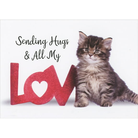 RSVP Sending Hugs and All My Love Kitten Photo Cute Cat Valentine's Day Card
