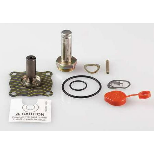 ASCO 302272 Valve Rebuild Kit,With Instructions