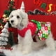thumbnail image 2 of Vestido navideño para perros XPUDAC verde rojo XXS Small, 2 of 5