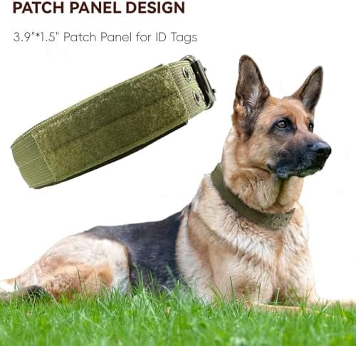 Heavy Duty Dog Collar for Large Dogs, Tactical Dog Collars with Metal Buckle & D Ring, 1.5" Width Thick Adjustable Nylon Collar for Medium Dogs, Army Green/XL