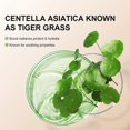 thumbnail image 5 of 3X CC Cream with Centella Asiatica Color Correcting CC Cream Lightweight Skin, 5 of 5