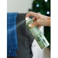 thumbnail image 3 of Soap & Paper Factory Roland Pine Home Fragrance Spray, 3 Fl Oz, 3 of 8