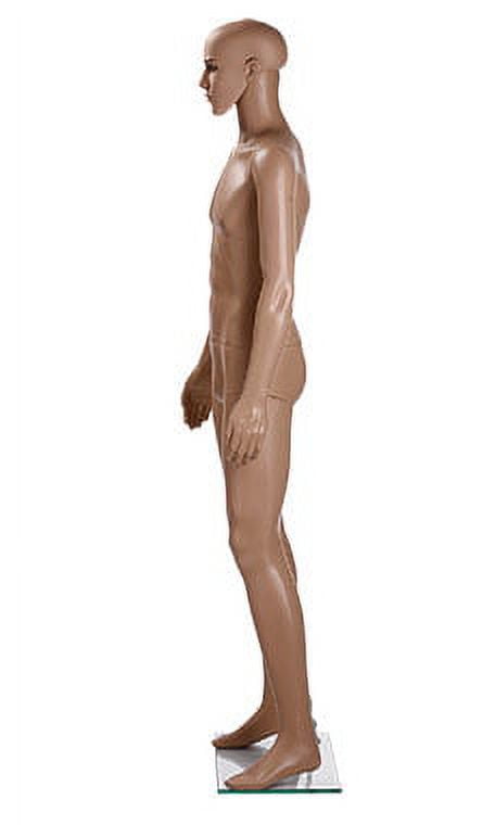 SSWBasics Mannequin Full Body - Male Mannequin Full Body with Base  6' 2½" Height  Caucasian Complexion Plastic Mannequin Body for Display