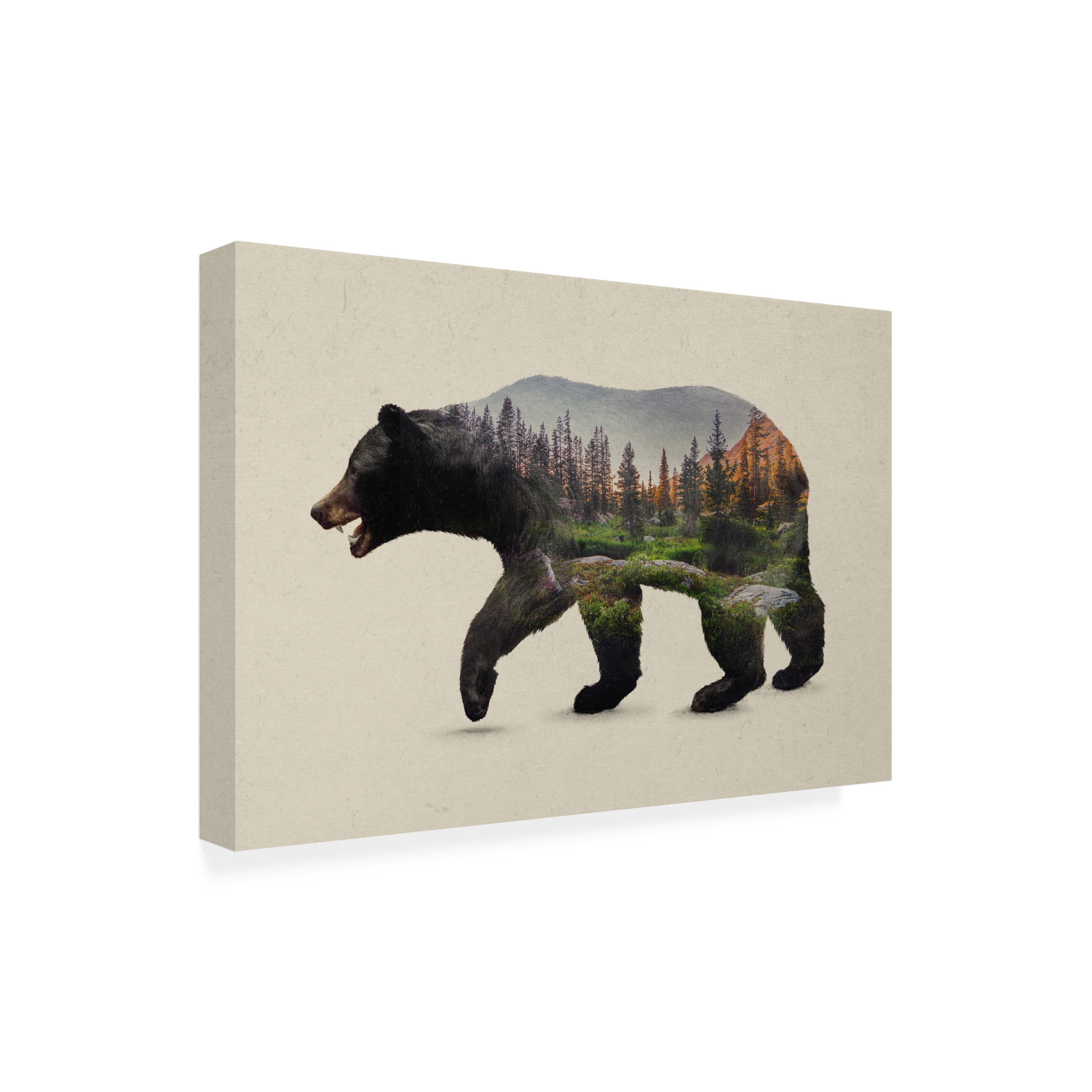 Davies Babies 'The North Black Bear' Outdoor Canvas