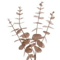 thumbnail image 2 of Vickerman 24" Café Latte Artificial Eucalyptus Glitter Wreath., 2 of 6
