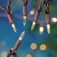 thumbnail image 1 of Mainstays 100-Count Warm White LED Mini Outdoor String Lights, with Brown Wire, 1 of 4