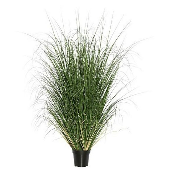 Vickerman TN170660 Vickerman 60" PVC Artificial Potted Green Curled Grass X 960 Black Planter's Pot Measures H 6 x D 7