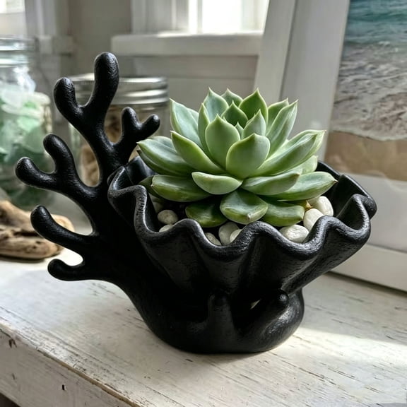 3D Printed Coastal Jewelry Organizer, Seashell Trinket Dish & Necklace Tree Stand, Resin Vanity Holder for Rings Earrings Small Succulents, Compact Small Space Storage for Dresser Bathroom Counter