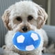 thumbnail image 3 of Juguete de pelota para cachorros, pelota rellena, resistente a mordeduras, juguete interactivo para masticar, juguete para perros, 3 of 5