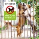 thumbnail image 5 of Señales de advertencia de metal para perros japoneses que prohíben orinar y defecar en todas partes. Atención a la decoración de pared para exteriores con césped para perros, 5 of 5