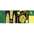 thumbnail image 2 of Alama FREQUENT Shampoo Gluten FREE & VEGAN, 2 of 5