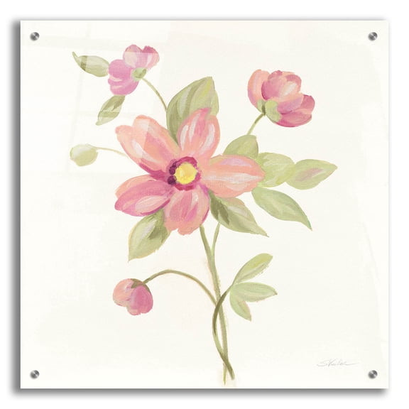 Epic Art 'June Bloom III' by Silvia Vassileva, Acrylic Glass Wall Art, 24"x24"