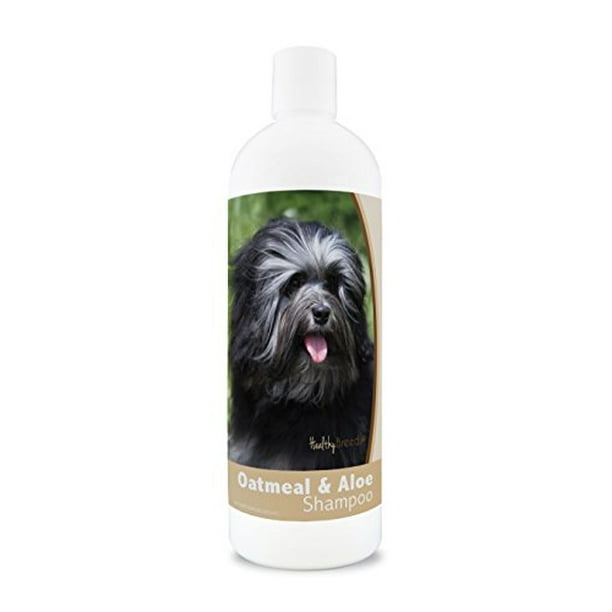 Healthy Breeds Oatmeal Dog Shampoo for Allergies for Lowchen Over 200