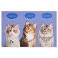 thumbnail image 1 of American Greetings Funny Cats Birthday Card with Glitter, 1 of 4