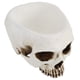 thumbnail image 4 of Macetas resistentes al calor maceta maceta con cabeza de calavera balcones para el hogar para una excelente decoración de Halloween mostradores de Bar de hoteles LHCER Otros, 4 of 8