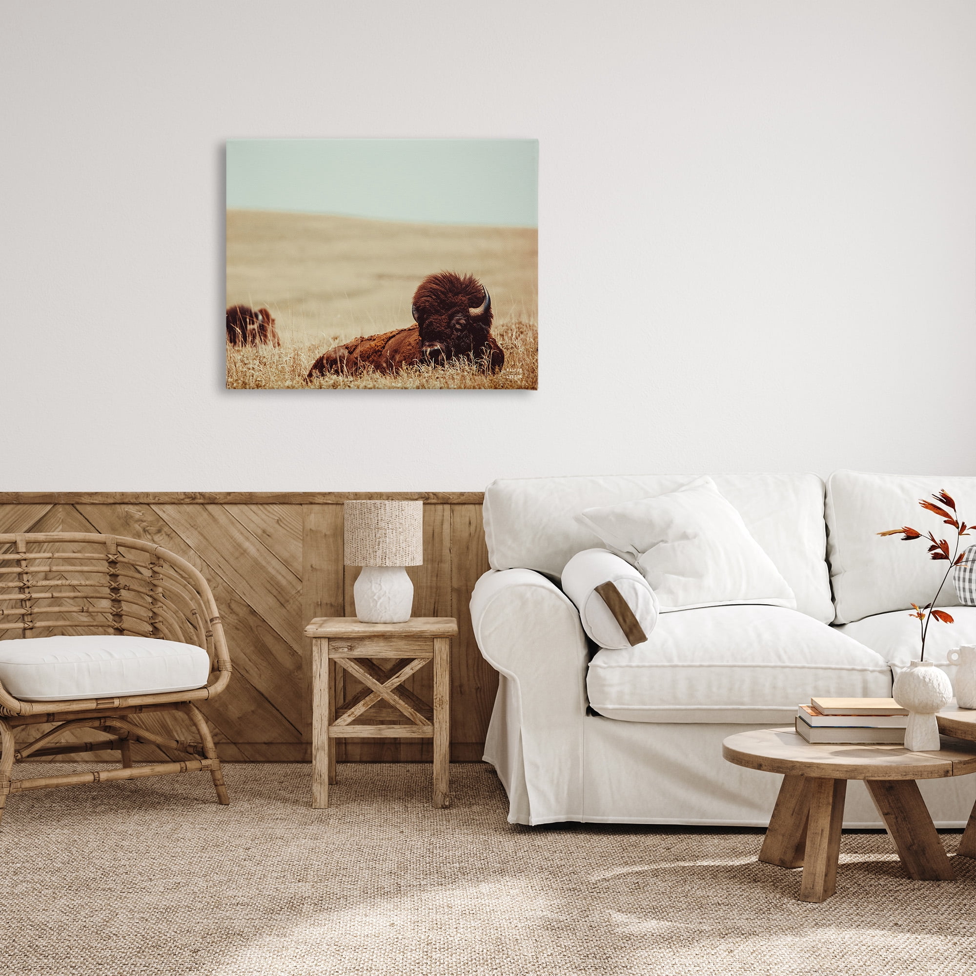 Stupell Industries Bison Relaxing in Field Animals & Insects Photography Gallery Wrapped Canvas Art Print Wall Art, 40 x 30