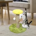 thumbnail image 3 of Dalazy 1Pack Scratch Post Refill Pole Grinding Rope Sisal Claw cat Protect Nails Round Green Medium 1Set, 3 of 6