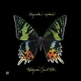 thumbnail image 2 of Joyner, Ginny 26x26 Gold Ornate Wood Framed with Double Matting Museum Art Print Titled - Striking Butterfly II, 2 of 4